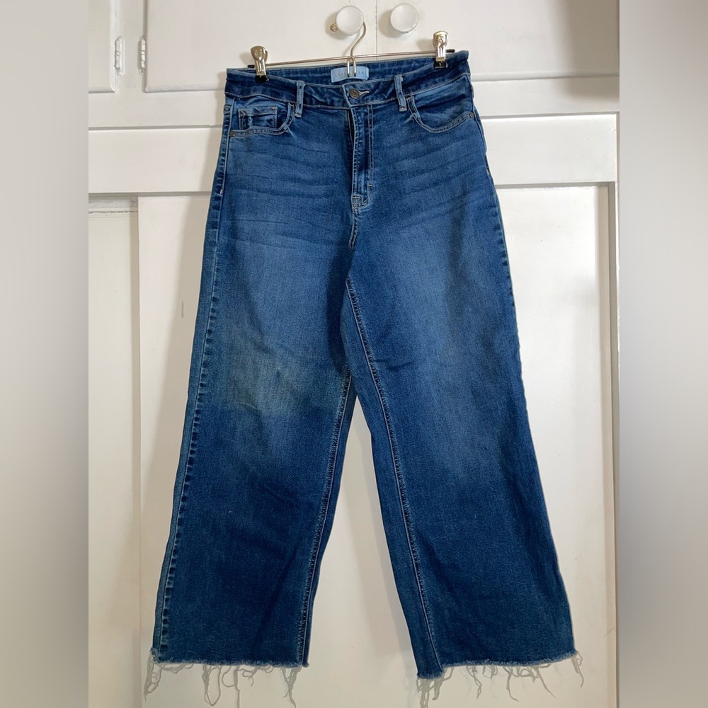 Carly Jean Los Angeles Becker wide leg jeans.